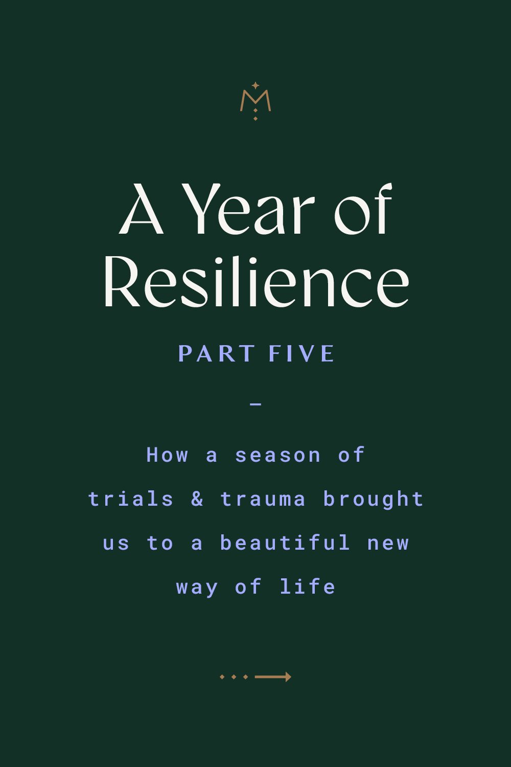 A Year of Resilience, Part 5