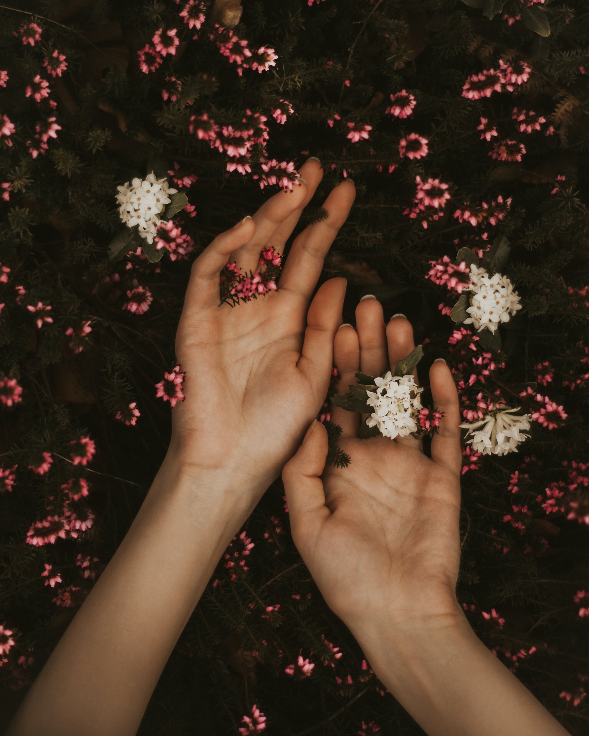 Discovering Your Human Design, Part 3